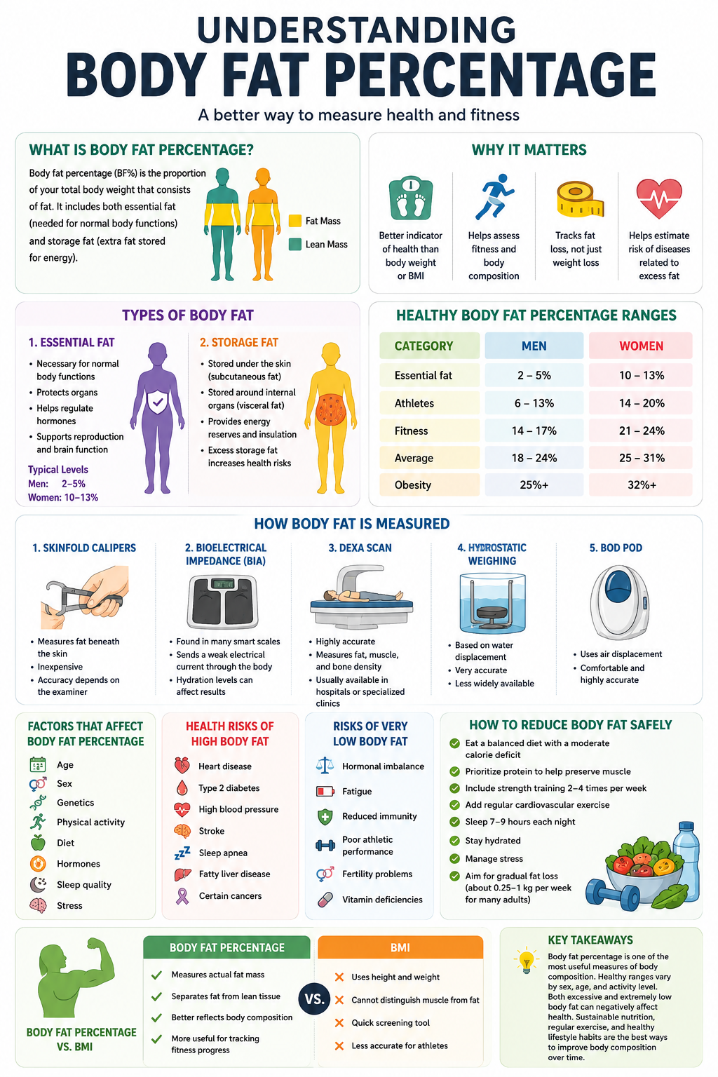 Understanding body fat percentage