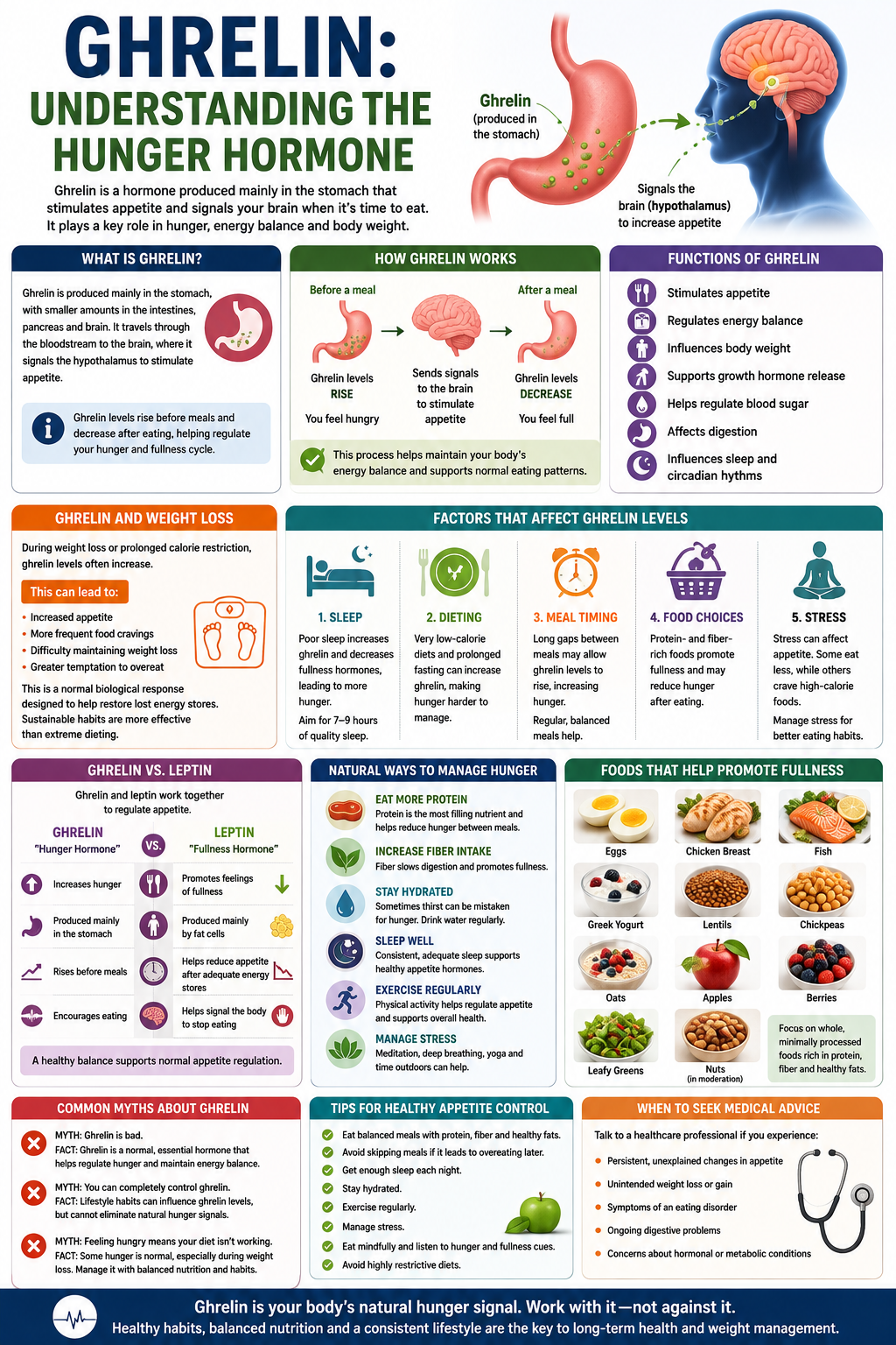 Ghrelin: Understanding the Hunger Hormone